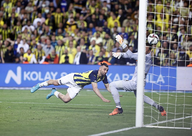 大规模的 大规模的