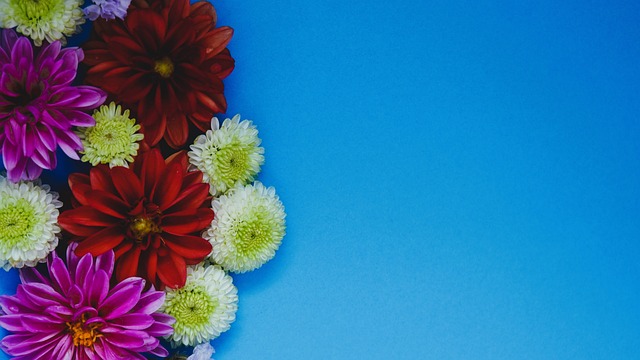 分析西部竞 分析西部竞