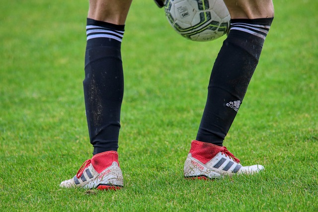 的训练和强 的训练和强