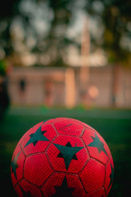 国外球员的 国外球员的