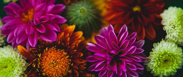 托马斯如鬼 托马斯如鬼