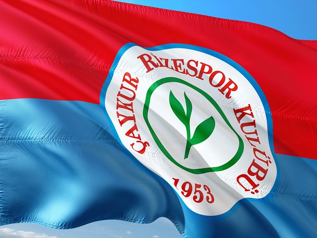 来数年发展 来数年发展