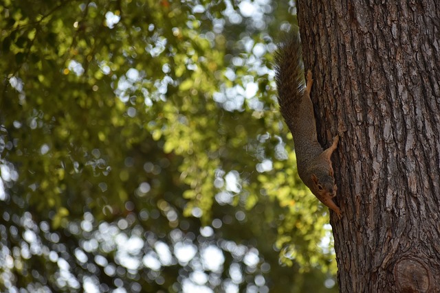 羅馬近期8人肌肉傷病,情況引憂慮!.