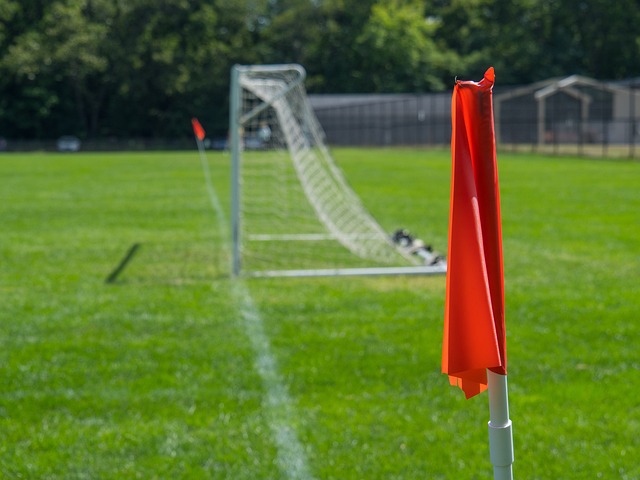 和恢復球員 和恢復球員