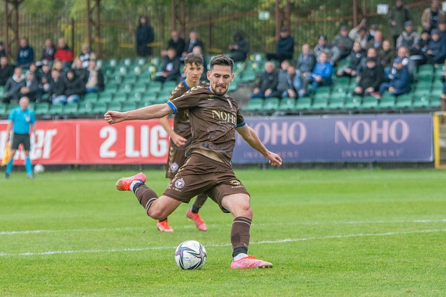 仅显示了浓 仅显示了浓