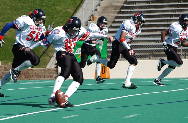 性与协调性 性与协调性