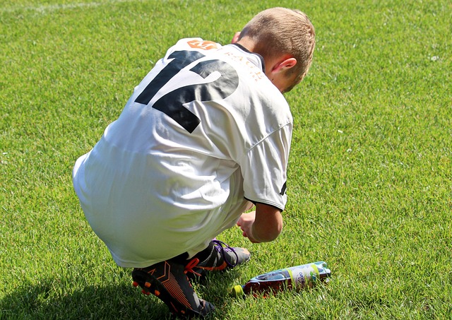 球体育组织 球体育组织