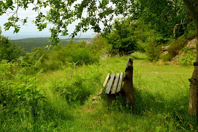 我们不难看 我们不难看