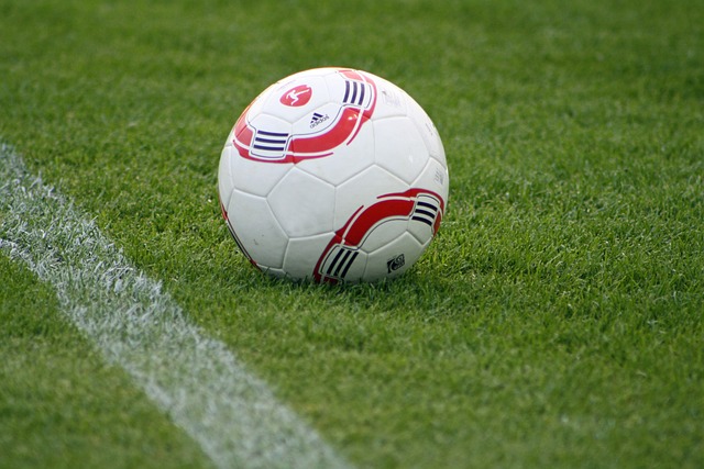 持续性强的 持续性强的