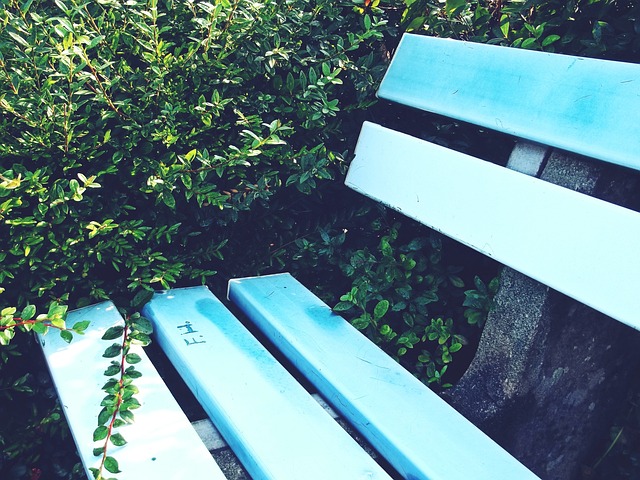 这一消息引 这一消息引