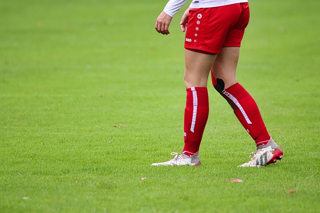 李宁提供的 李宁提供的