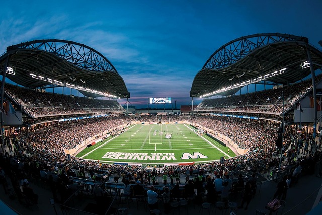 这些品质都 这些品质都